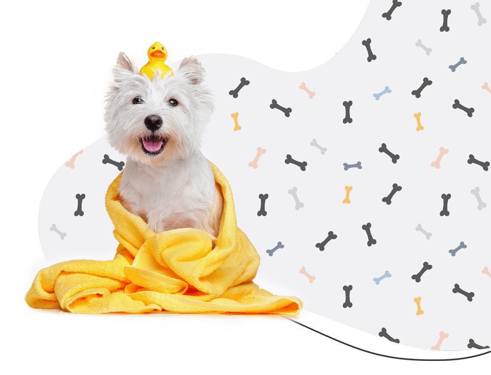 https://thebarkbarnohio.com/wp-content/uploads/2019/08/hero_prices.png